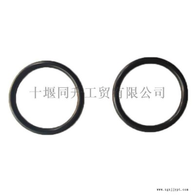 進(jìn)口康明斯QSZ13發(fā)動機(jī)O形密封圈3035026