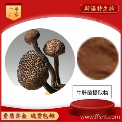 牛肝菌提取物 牛肝菌多糖  200目食用菌粉 斯諾特現貨