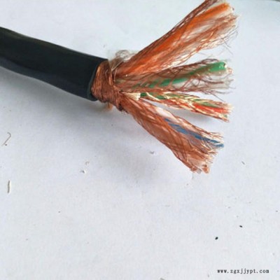 DJYVP3(R)-22 聚乙烯絕緣對絞組銅線編織總屏蔽聚氯乙烯護套計算機電纜
