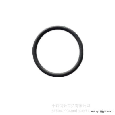 康明斯QSM11發(fā)動機(jī)配件O型密封圈3032787進(jìn)口康明斯M11柴油機(jī)O型密封圈145531