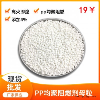 PP填充繩阻燃劑網狀繩網帶阻燃母粒聚丙烯填充繩阻燃母粒廠家批發東莞亞新FR-T10