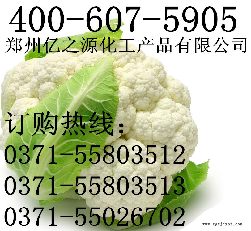 茶多酚批發 茶多酚食品級 水溶性抗氧化劑防腐劑示例圖3