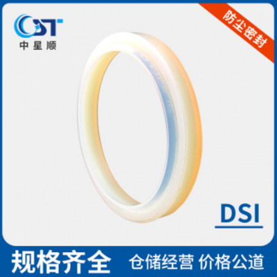 防塵密封油封DSI防塵密封件工業密封件液壓與氣動密封件機廠家
