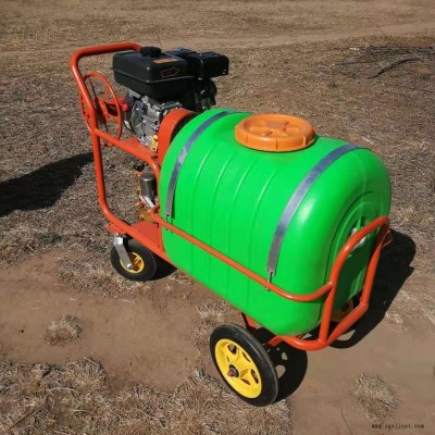 強鵬機械手推農藥噴霧機 果樹打藥機 輕便小巧果樹噴霧機