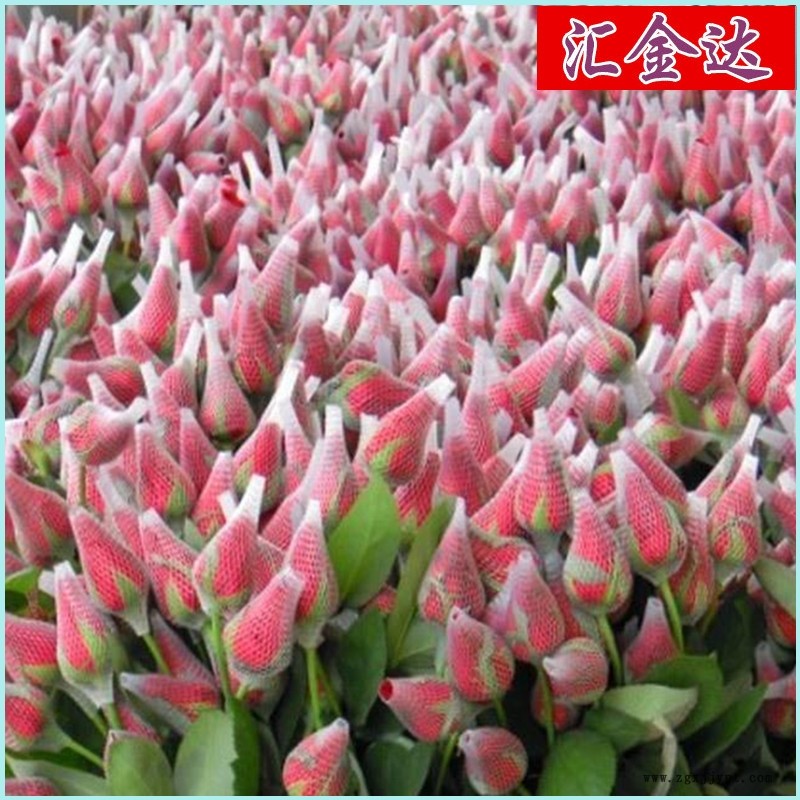 網(wǎng)套機視頻 香梨網(wǎng)套機 匯欣達全國聯(lián)保